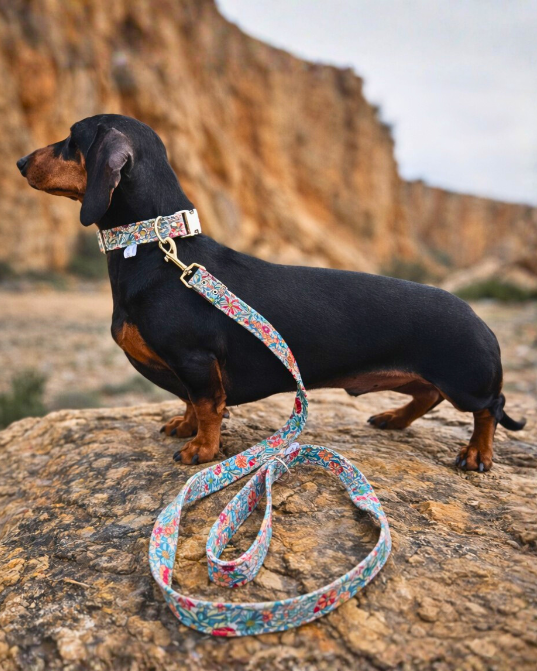 Laisse pour chien Jeanne