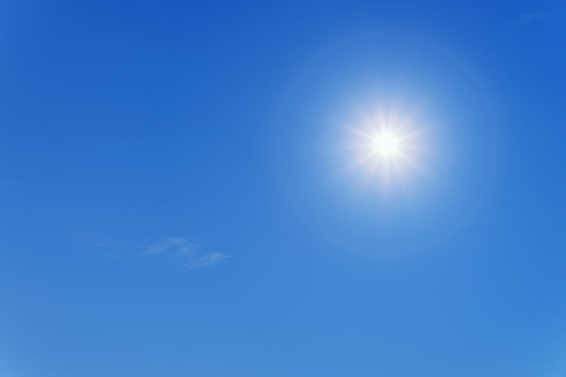 Canicule et fortes chaleurs : comment protéger son chien pendant l’été ?