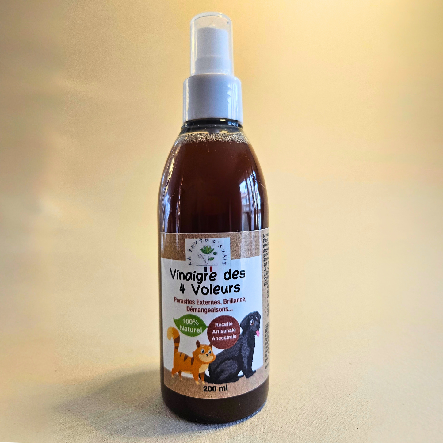 Vinaigre des 4 voleurs