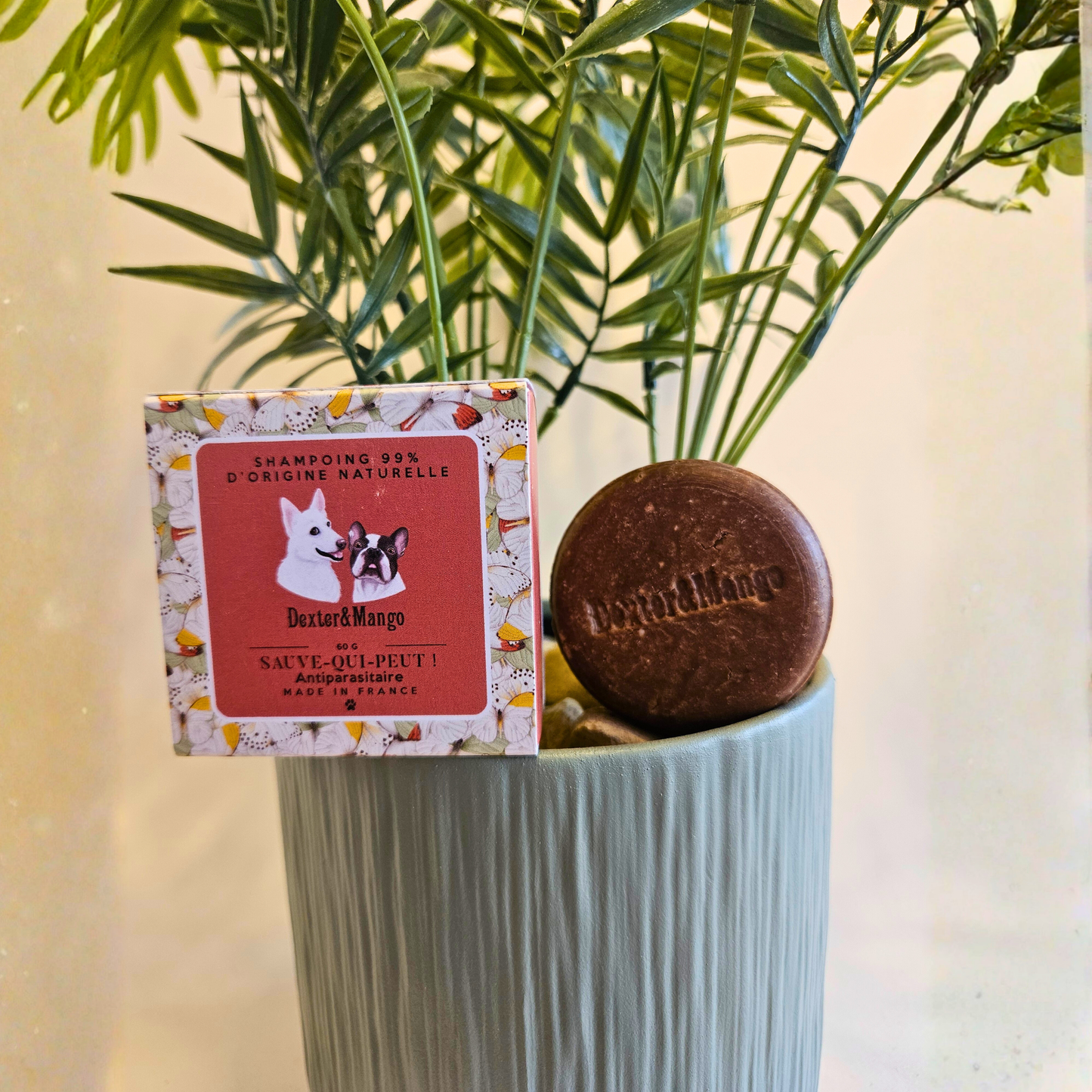 Shampoing solide antiparasitaire