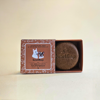 Shampoing solide anti démangeaison pour chien