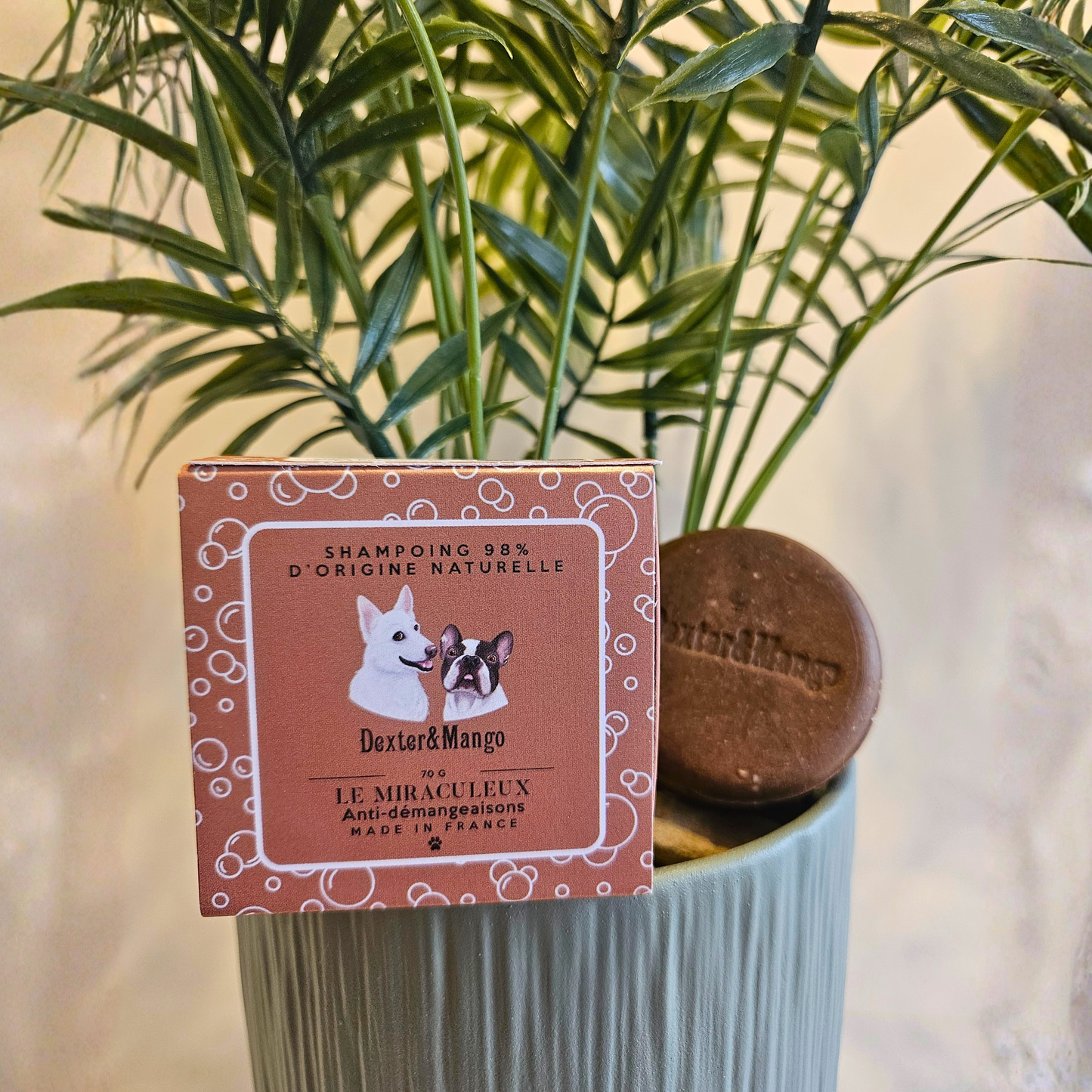 Shampoing solide anti démangeaison pour chien