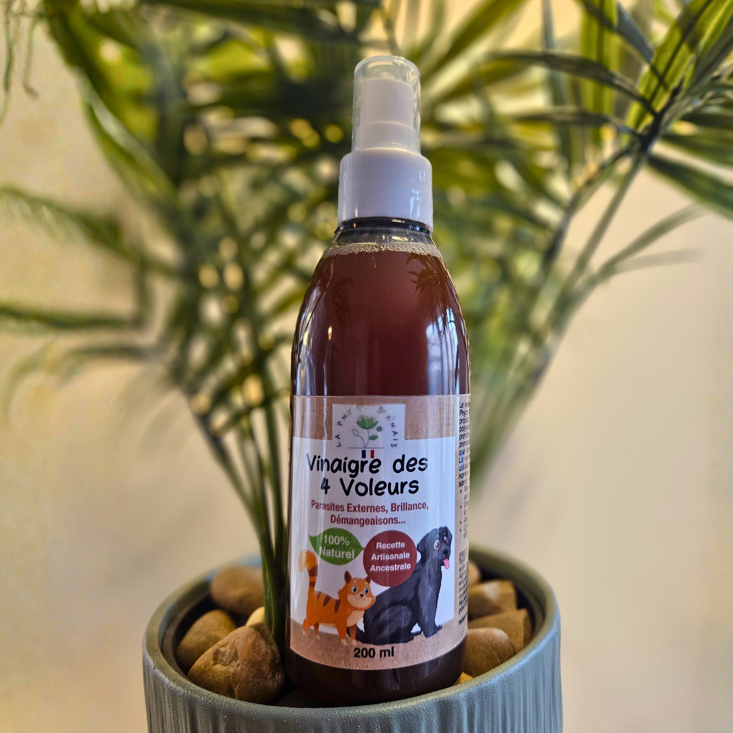 Vinaigre des 4 voleurs