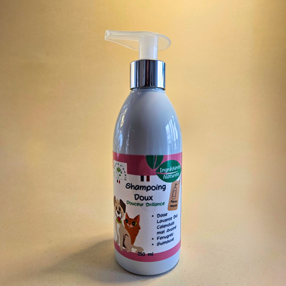 Shampoing pour chien et chat