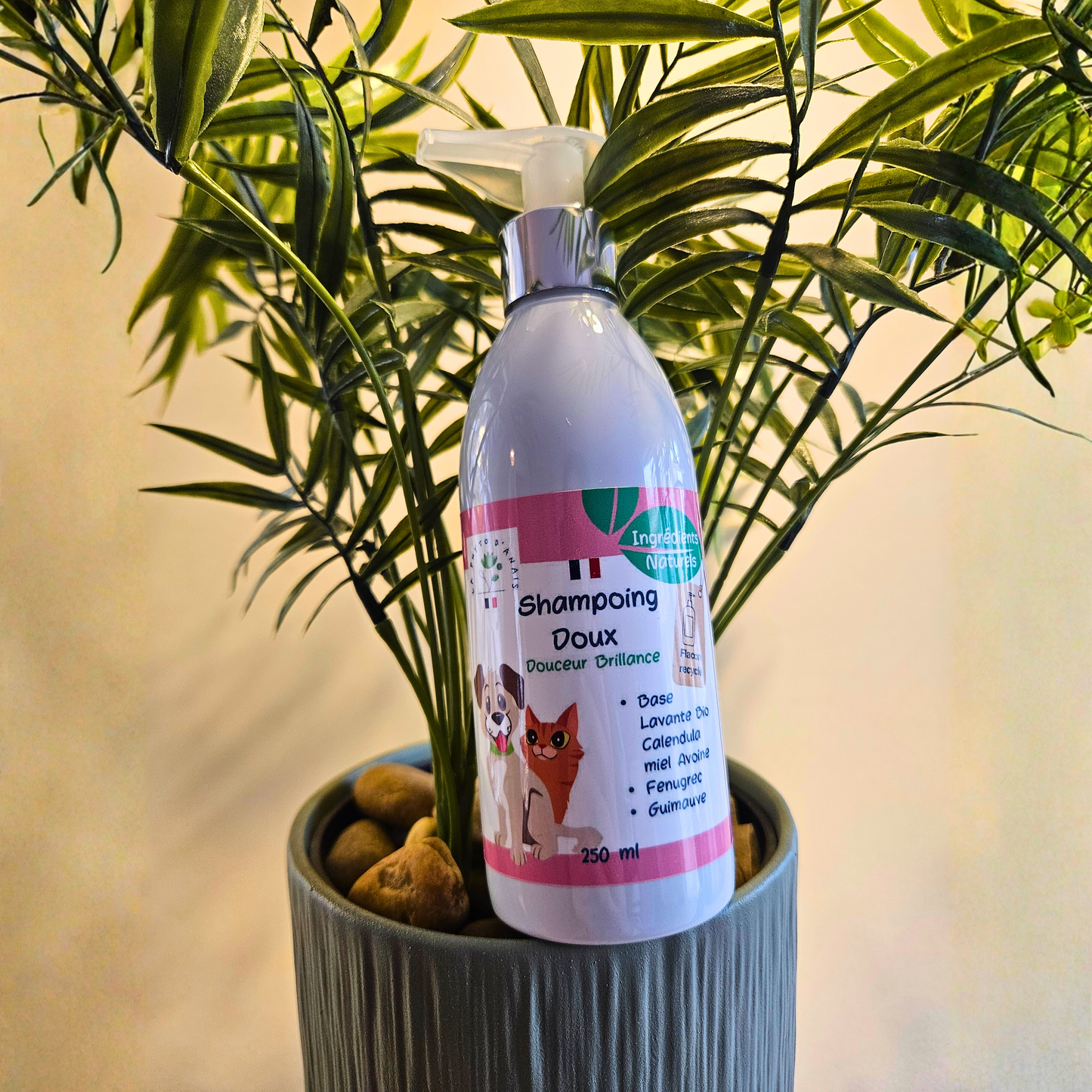 Shampoing pour chien et chat