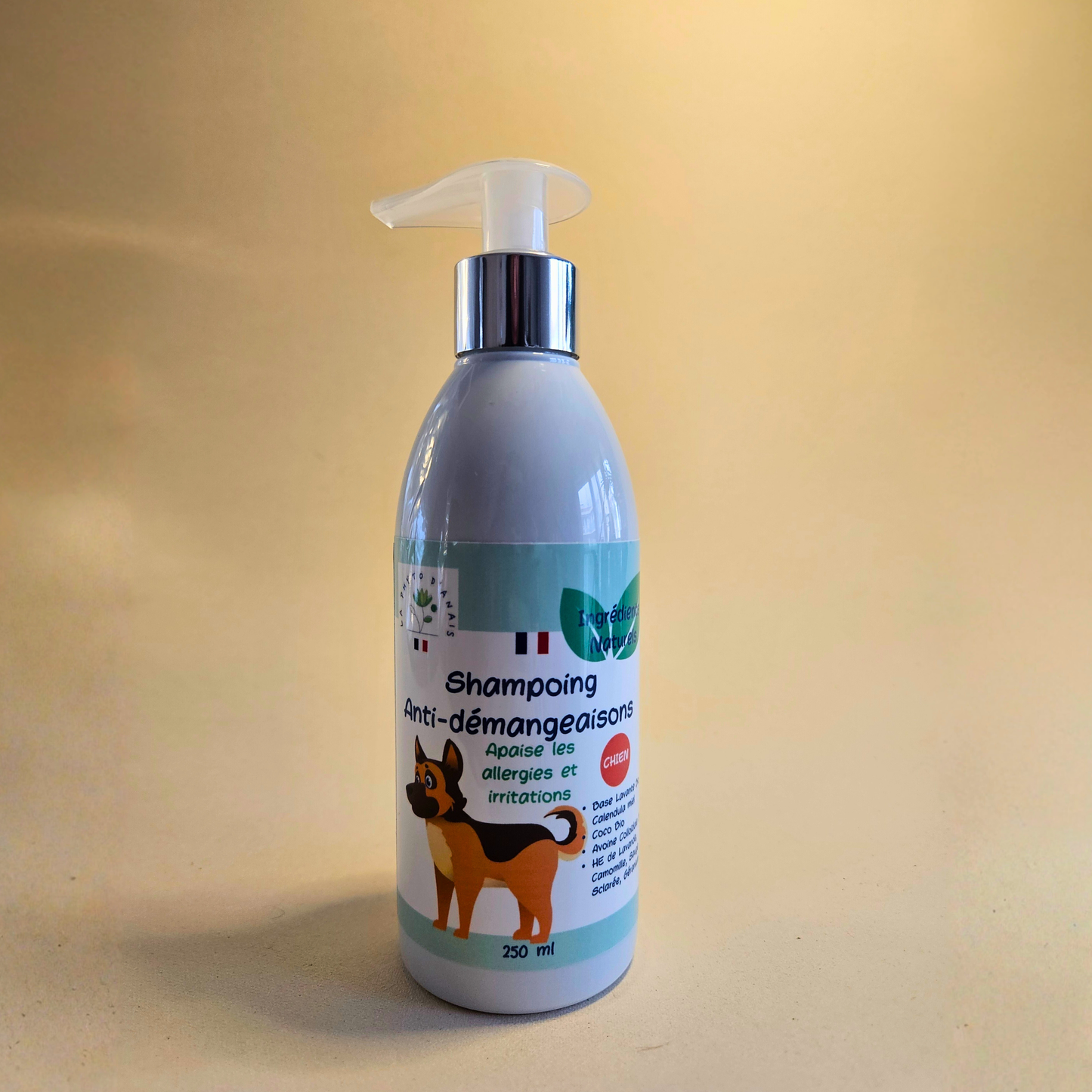 Shampoing anti démangeaison chien