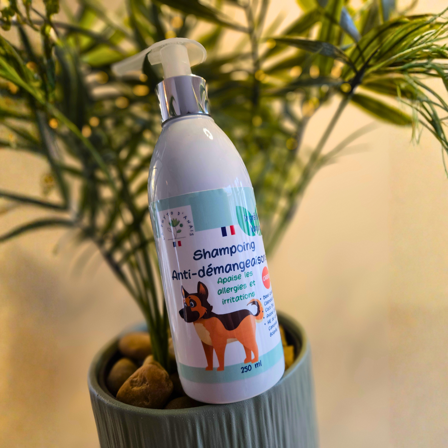 Shampoing anti démangeaison chien