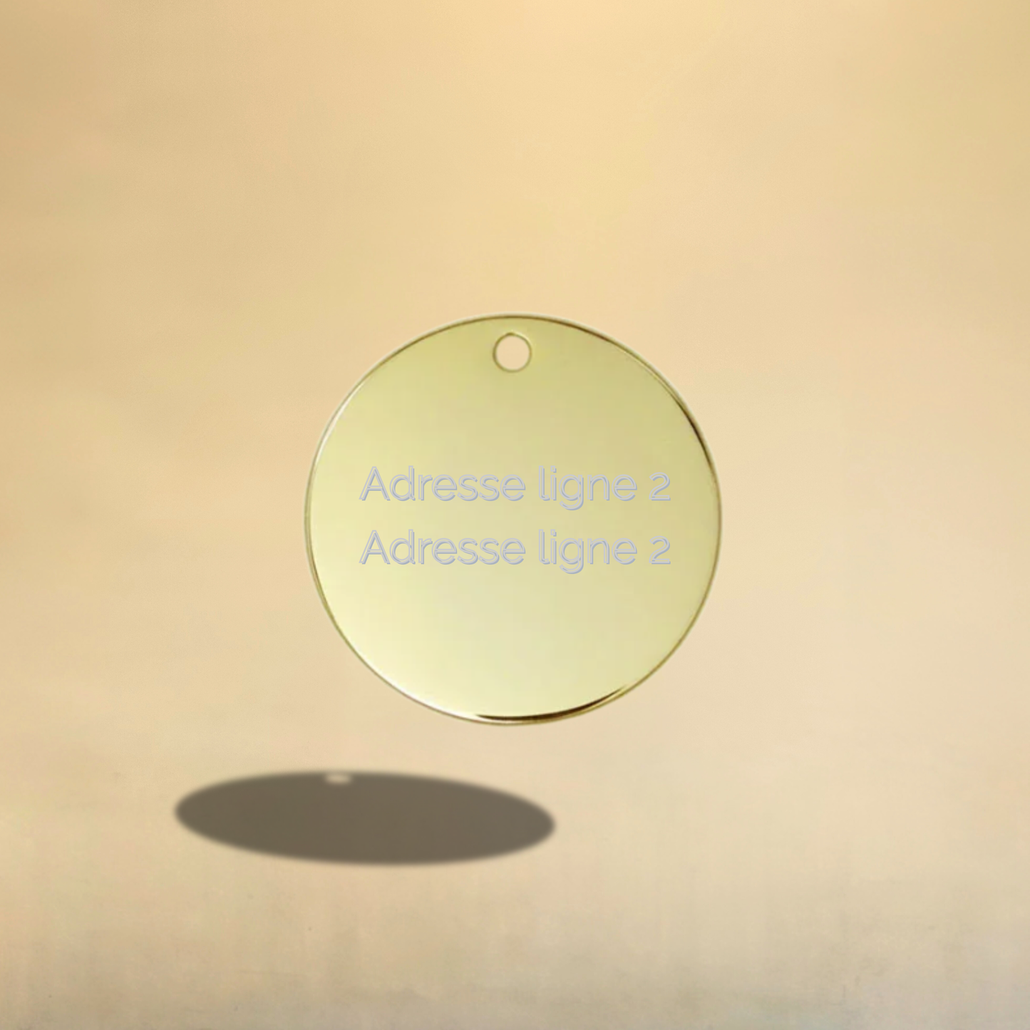 Médaille ronde personnalisable pour chien