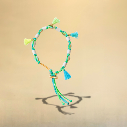 Collier EM pour chien Miami