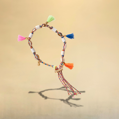 Collier EM pour chien Paradisio