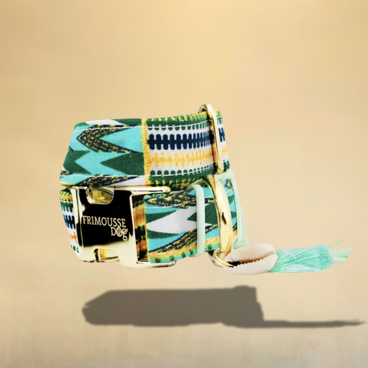 Collier pour chien Ancara – Turquoise & doré