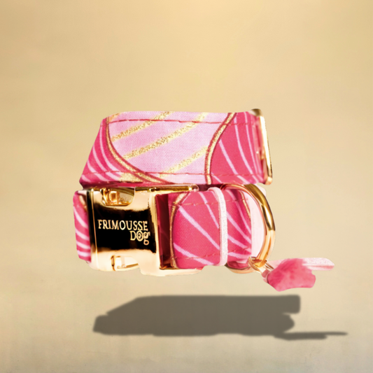 Collier pour chien Barby – Fuchsia & doré