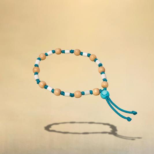 Collier EM pour chien Turquoise