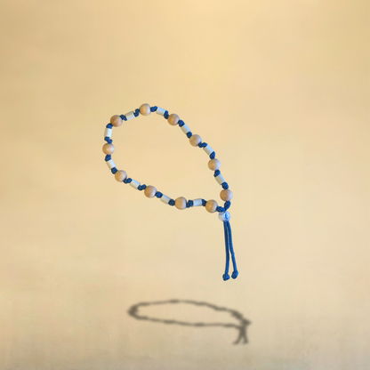 Collier EM pour chien Bleu