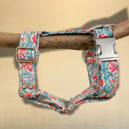 Harnais Jeanne pour chien